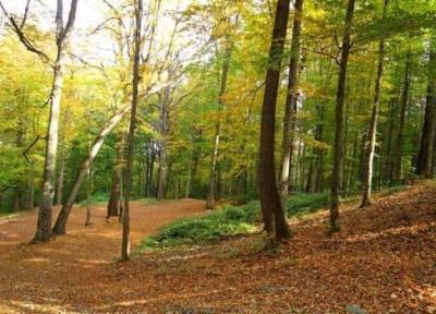 راهنمای گردشگران برای رفتن به پارک ملی گلستان راهنمای گردشگران برای رفتن به پارک ملی گلستان